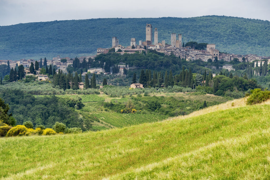 landscape in the Chianti region